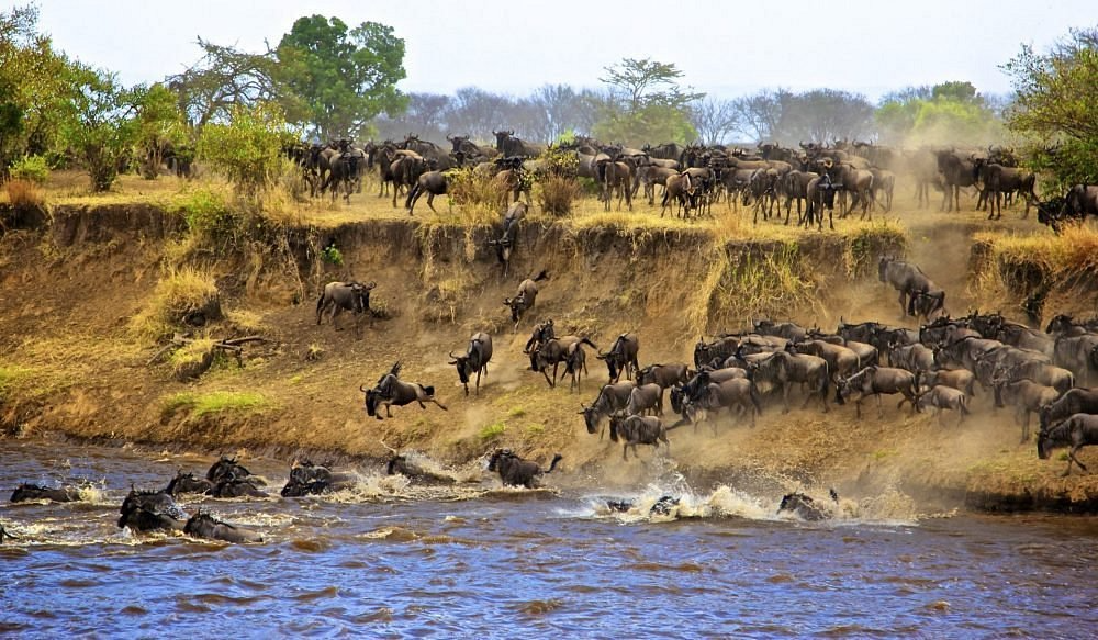 7 Days L.Manyara, Ngorongoro crator, Serengeti and Tangire