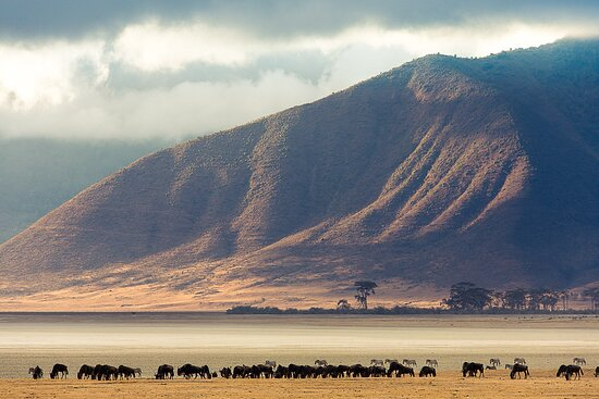 7 Days L.Manyara, Ngorongoro crator, Serengeti and Tangire Camping
