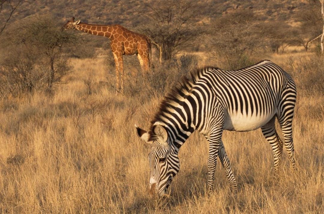 SAMBURU NATIONAL PARK